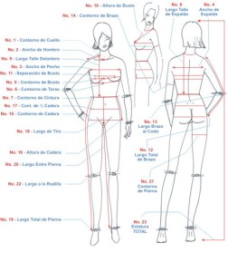 Imagen femenina con los nombres y ubicación para tomar las medidas corporales y coser la ropa, enseñadas en el Diplomado en Confección de Ropa Modafacil.com